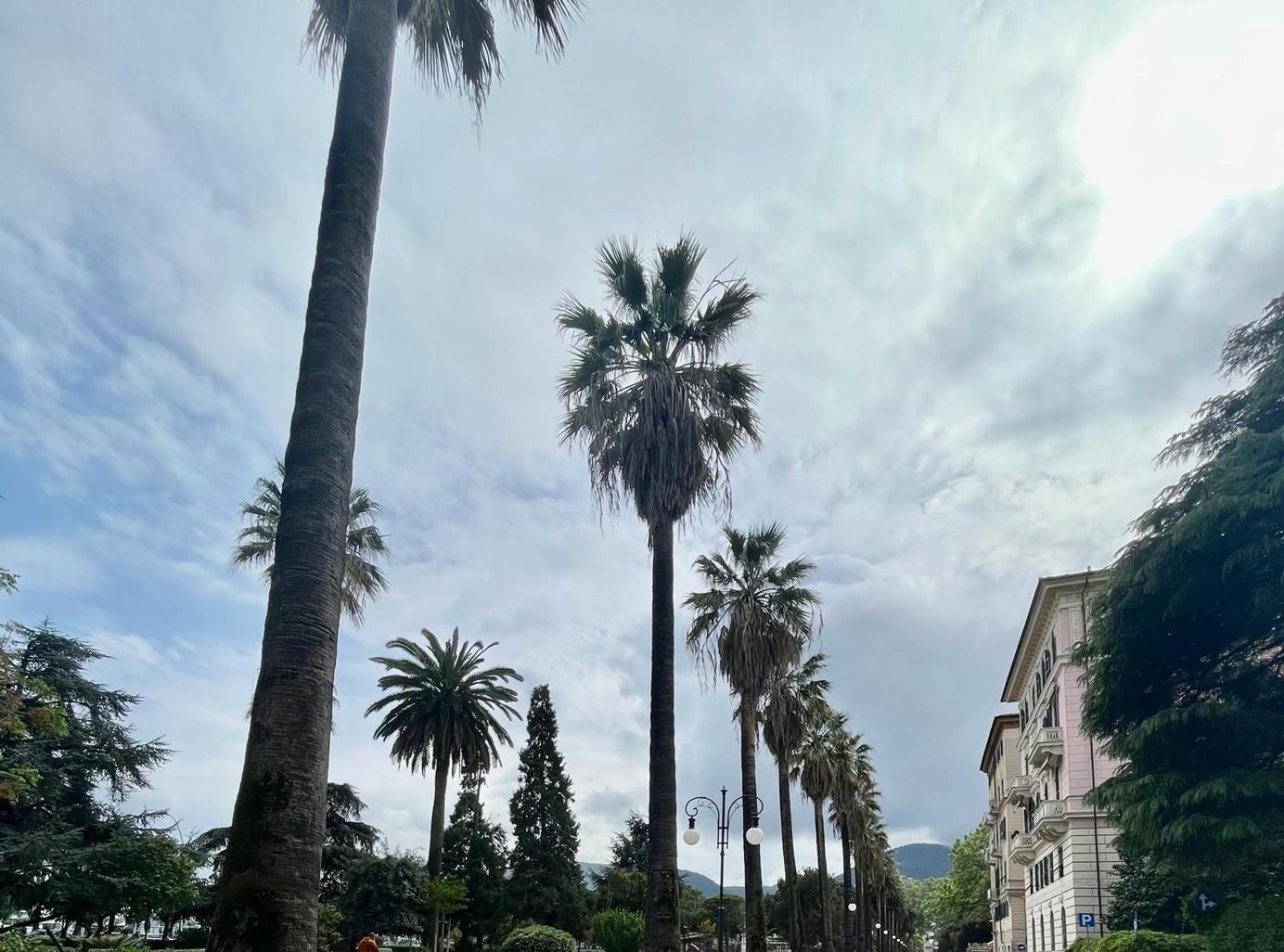 Breathe Liguria - Lucy 1 Bedroom And 1 Apartment In A Newly Renovated Nineteenth-Century Building In The Historic Center Near The Sea La Spezia Eksteriør bilde